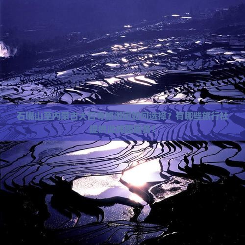 石嘴山至内蒙古大召寺旅游团如何选择？有哪些旅行社提供此线路服务？