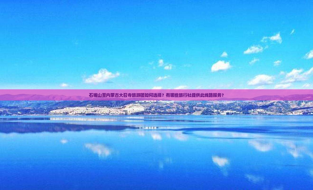 石嘴山至内蒙古大召寺旅游团如何选择？有哪些旅行社提供此线路服务？