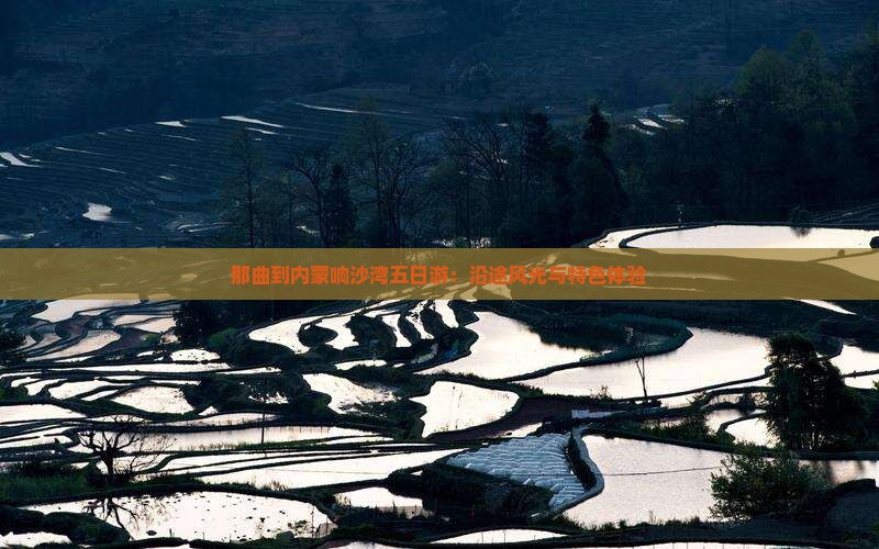 那曲到内蒙响沙湾五日游：沿途风光与特色体验