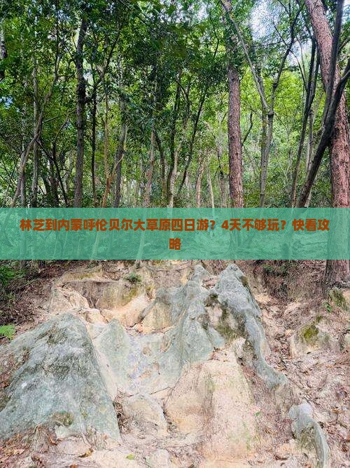 林芝到内蒙呼伦贝尔大草原四日游？4天不够玩？快看攻略