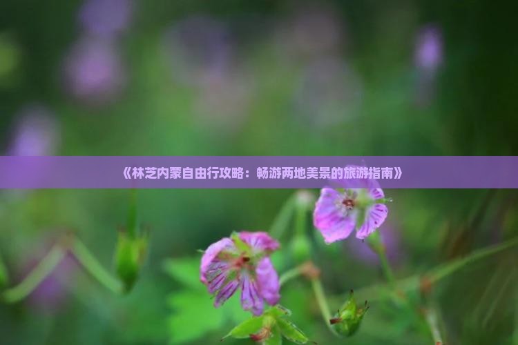 《林芝内蒙自由行攻略：畅游两地美景的旅游指南》