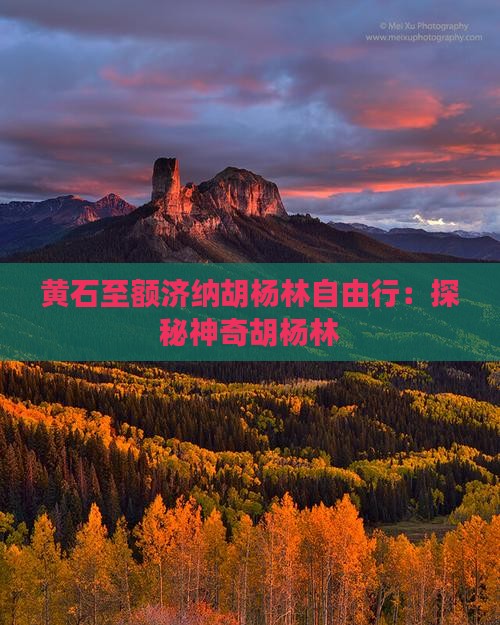 黄石至额济纳胡杨林自由行：探秘神奇胡杨林