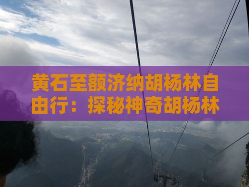黄石至额济纳胡杨林自由行：探秘神奇胡杨林