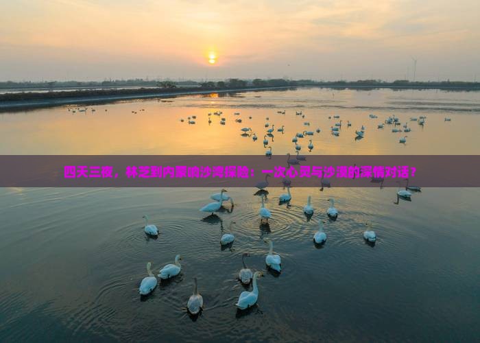 四天三夜，林芝到内蒙响沙湾探险：一次心灵与沙漠的深情对话？