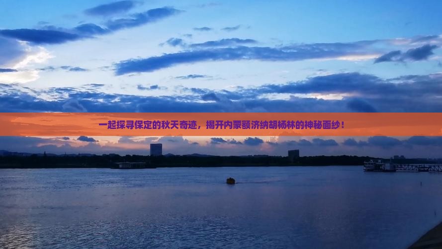 一起探寻保定的秋天奇迹，揭开内蒙额济纳胡杨林的神秘面纱！