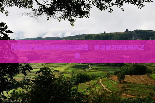 内蒙额济纳旗胡杨林深度旅游团：探寻额济纳胡杨林之美