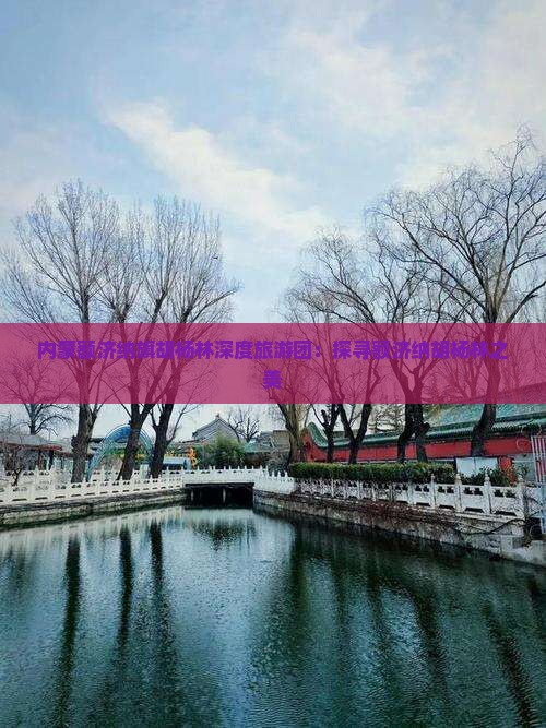 内蒙额济纳旗胡杨林深度旅游团：探寻额济纳胡杨林之美
