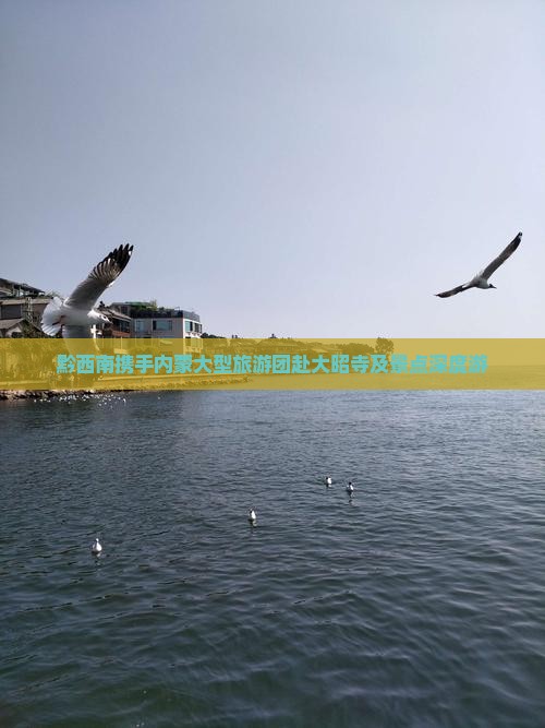 黔西南携手内蒙大型旅游团赴大昭寺及景点深度游