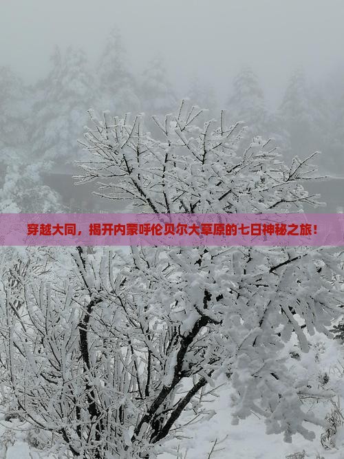 穿越大同，揭开内蒙呼伦贝尔大草原的七日神秘之旅！