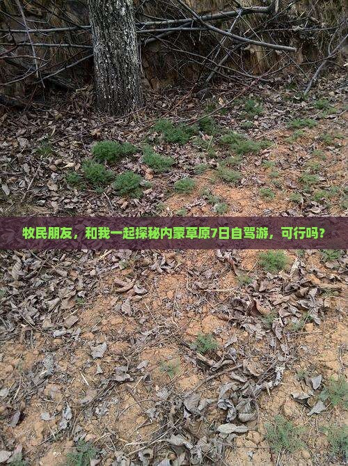 牧民朋友，和我一起探秘内蒙草原7日自驾游，可行吗？