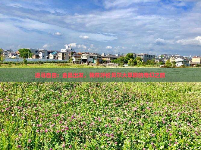 追寻自由：金昌出发，我在呼伦贝尔大草原的奇幻之旅