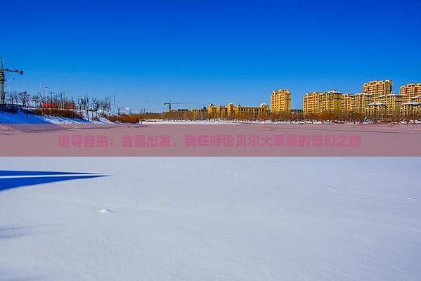 追寻自由：金昌出发，我在呼伦贝尔大草原的奇幻之旅
