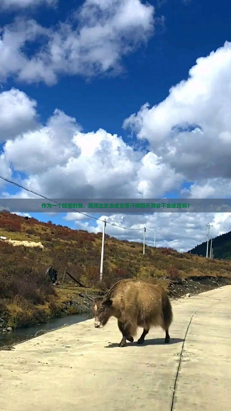 作为一个路痴的我，鹰潭出发去成吉思汗陵四天游会不会迷路啊？