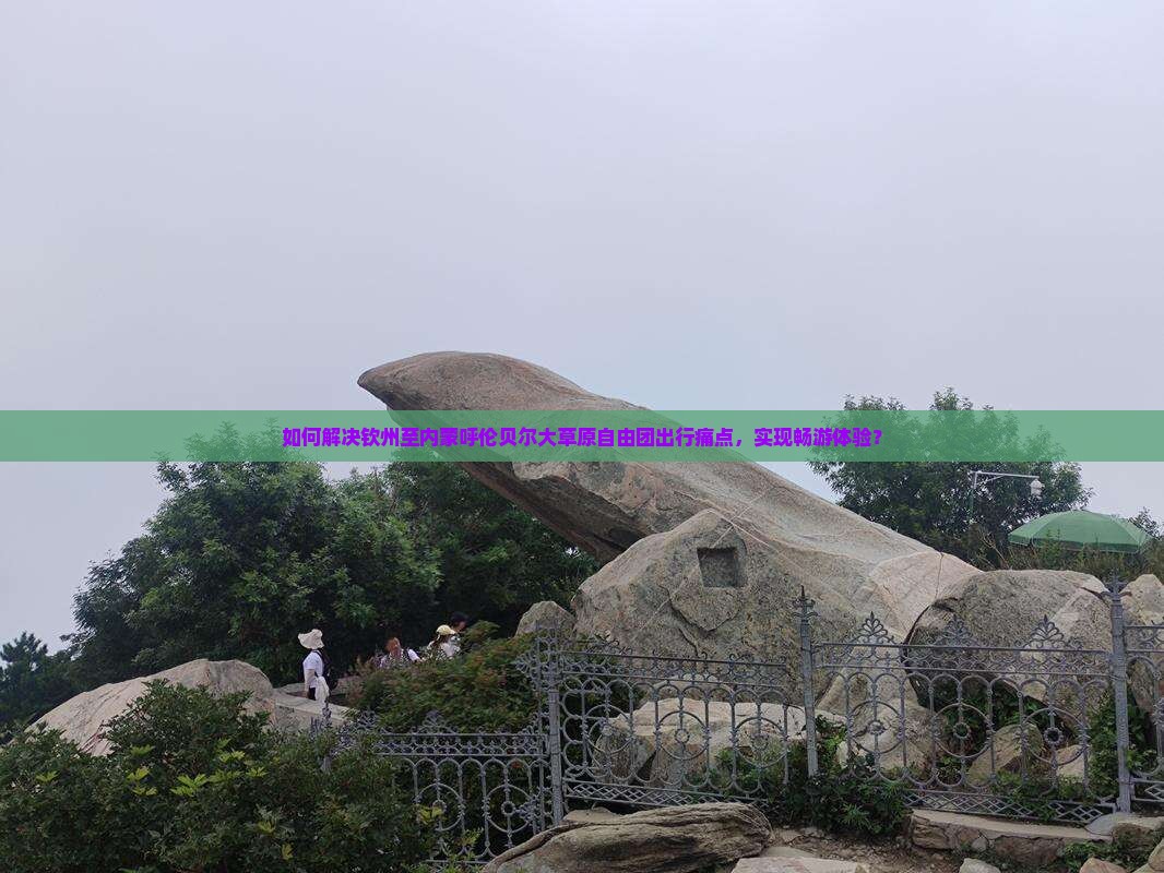 如何解决钦州至内蒙呼伦贝尔大草原自由团出行痛点，实现畅游体验？