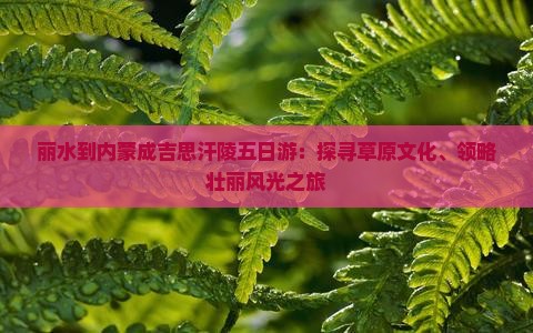 丽水到内蒙成吉思汗陵五日游：探寻草原文化、领略壮丽风光之旅