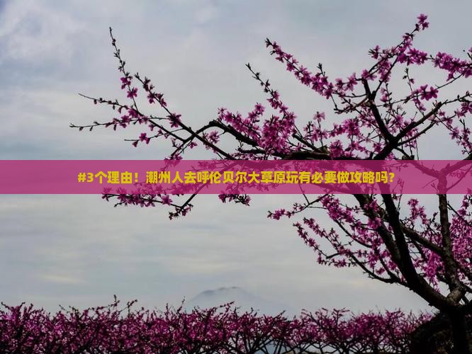 #3个理由！潮州人去呼伦贝尔大草原玩有必要做攻略吗？
