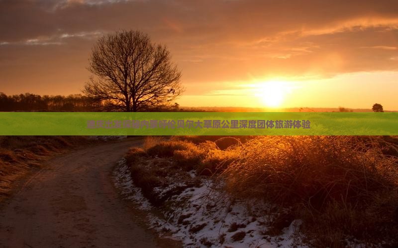 迪庆出发探秘内蒙呼伦贝尔大草原公里深度团体旅游体验