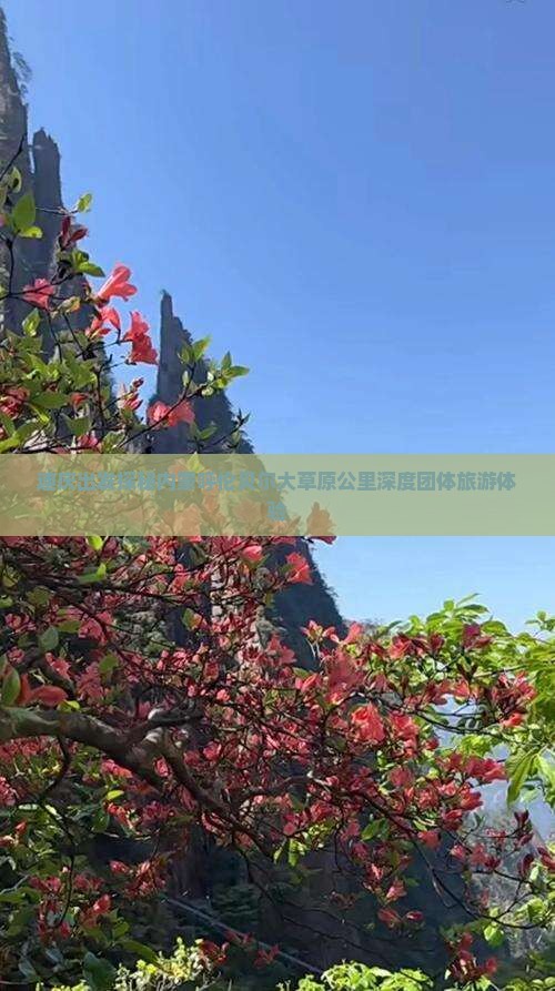 迪庆出发探秘内蒙呼伦贝尔大草原公里深度团体旅游体验