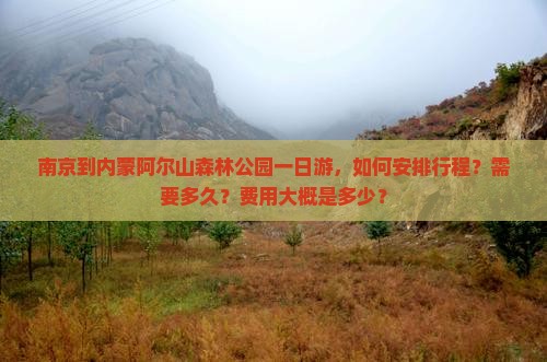 南京到内蒙阿尔山森林公园一日游，如何安排行程？需要多久？费用大概是多少？