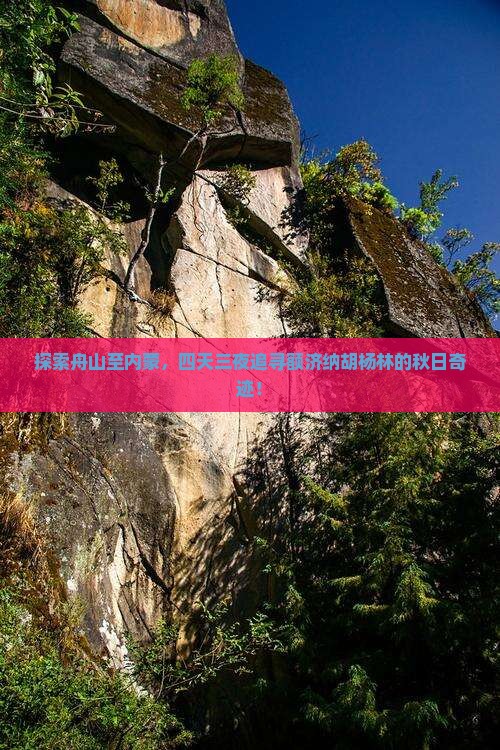 探索舟山至内蒙，四天三夜追寻额济纳胡杨林的秋日奇迹！