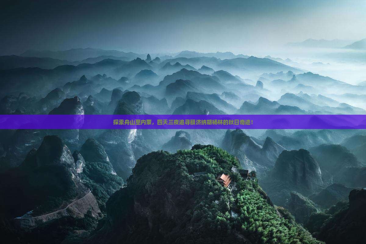 探索舟山至内蒙，四天三夜追寻额济纳胡杨林的秋日奇迹！