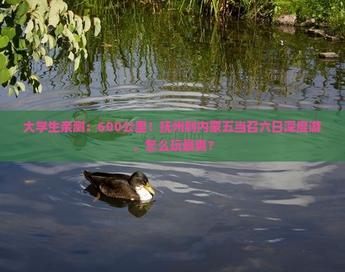 大学生亲测：600公里！抚州到内蒙五当召六日深度游，怎么玩最爽？