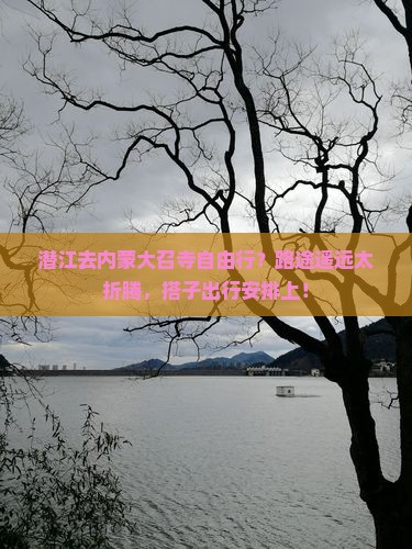 潜江去内蒙大召寺自由行？路途遥远太折腾，搭子出行安排上！