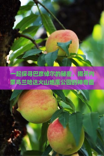 一起探寻巴彦倬尔的秘密，揭开内蒙乌兰哈达火山地质公园的神奇面纱！