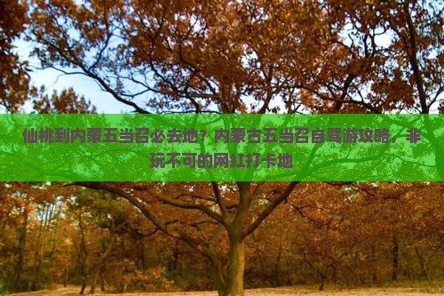 仙桃到内蒙五当召必去地？内蒙古五当召自驾游攻略，非玩不可的网红打卡地