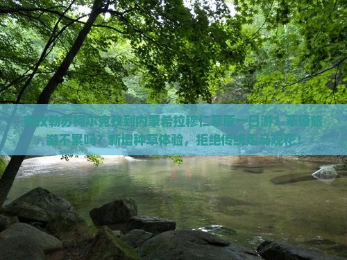 克孜勒苏柯尔克孜到内蒙希拉穆仁草原一日游？草原旅游不累吗？新增种草体验，拒绝传统走马观花！