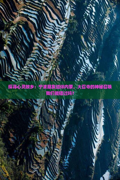 探寻心灵故乡：宁波朋友结伴内蒙，大召寺的神秘召唤我们能错过吗？