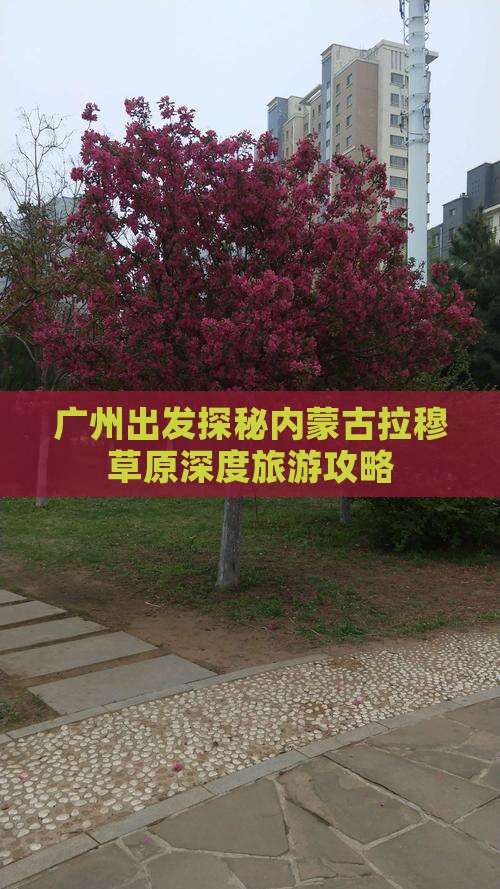 广州出发探秘内蒙古拉穆草原深度旅游攻略