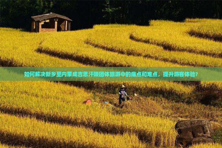 如何解决新乡至内蒙成吉思汗陵团体旅游中的痛点和难点，提升游客体验？