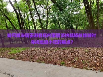 如何解决和田游客在内蒙额济纳胡杨林旅游时寻找地道小吃的痛点？