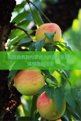 克孜勒苏到内蒙响沙湾景点距离及详细路线指南