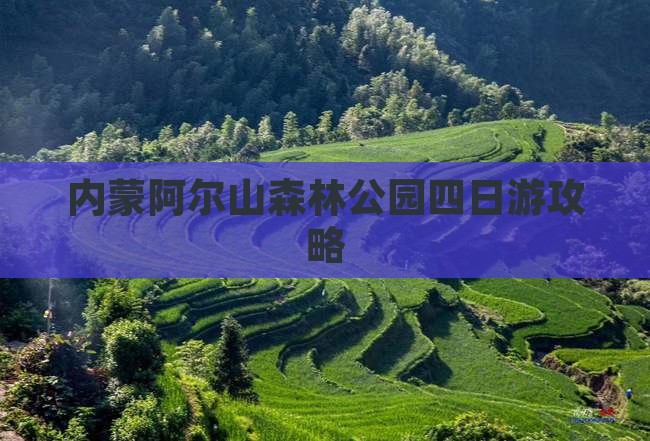 七台河去内蒙阿尔山国家森林公园四日游