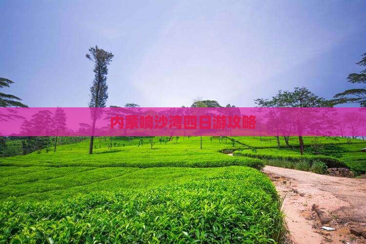 海东到内蒙响沙湾四日游