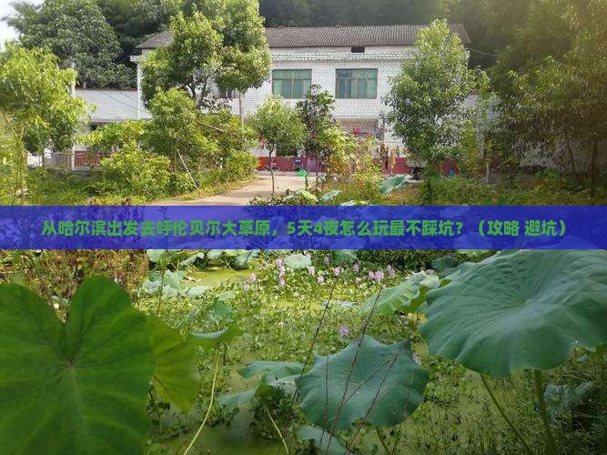 哈尔滨去内蒙呼伦贝尔大草原旅游