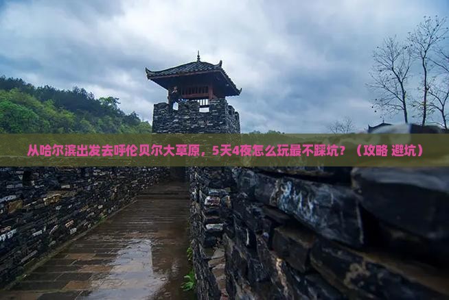 哈尔滨去内蒙呼伦贝尔大草原旅游