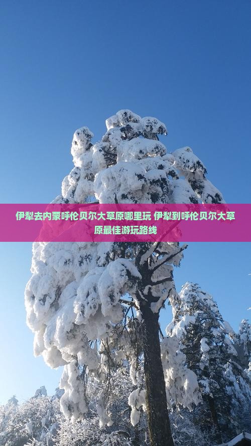 伊犁去内蒙呼伦贝尔大草原哪里玩