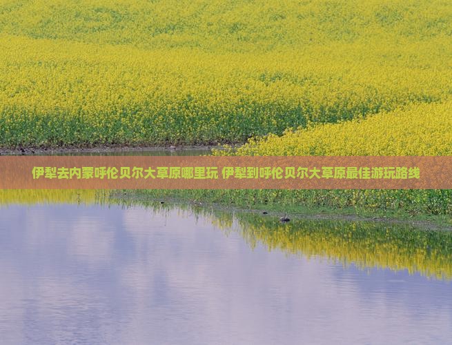 伊犁去内蒙呼伦贝尔大草原哪里玩