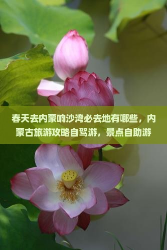 春天去内蒙响沙湾必去地
