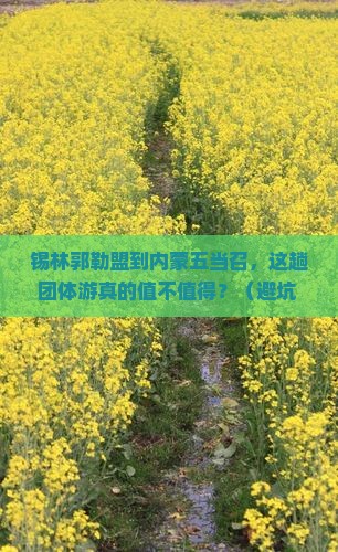 锡林郭勒盟到内蒙五当召团体旅游