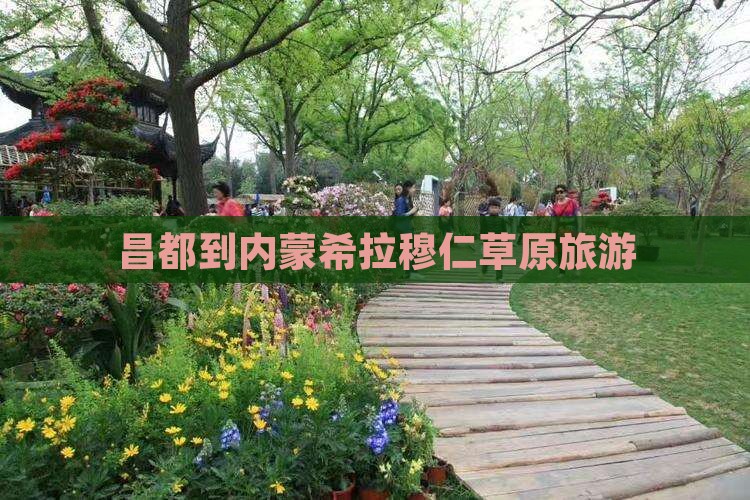 昌都到内蒙希拉穆仁草原旅游