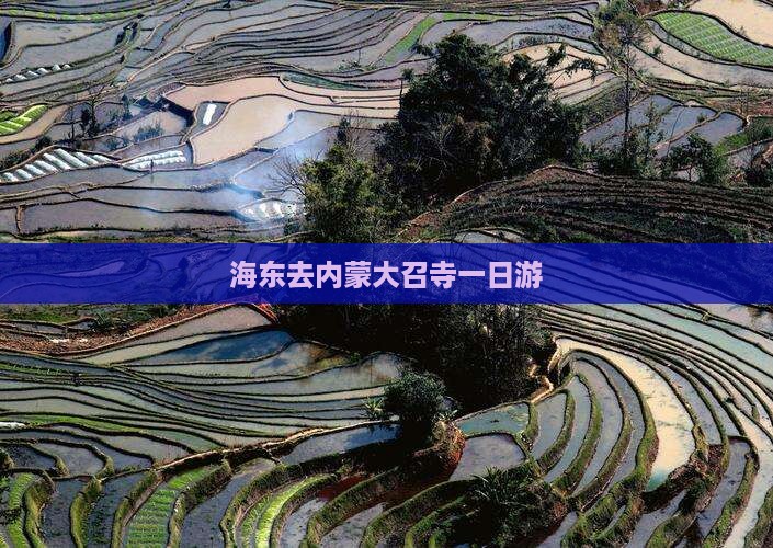 海东去内蒙大召寺一日游