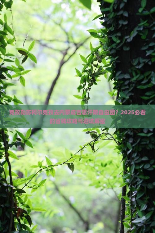 克孜勒苏柯尔克孜去内蒙成吉思汗陵自由团