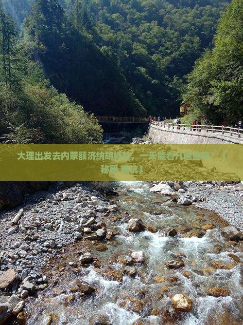 大理去内蒙额济纳胡杨林一日游