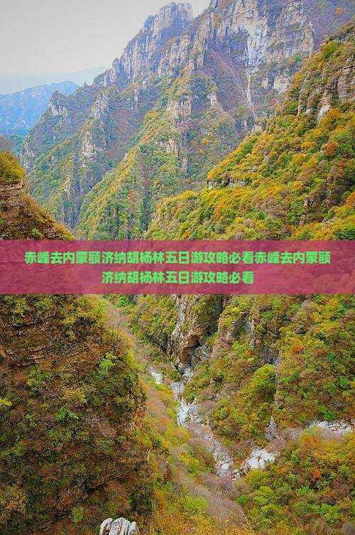 赤峰去内蒙额济纳胡杨林五日游