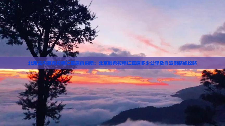 北京去内蒙希拉穆仁草原自由团