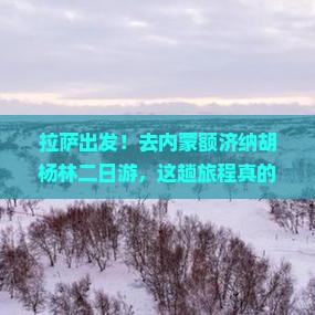 拉萨到内蒙额济纳胡杨林二日游